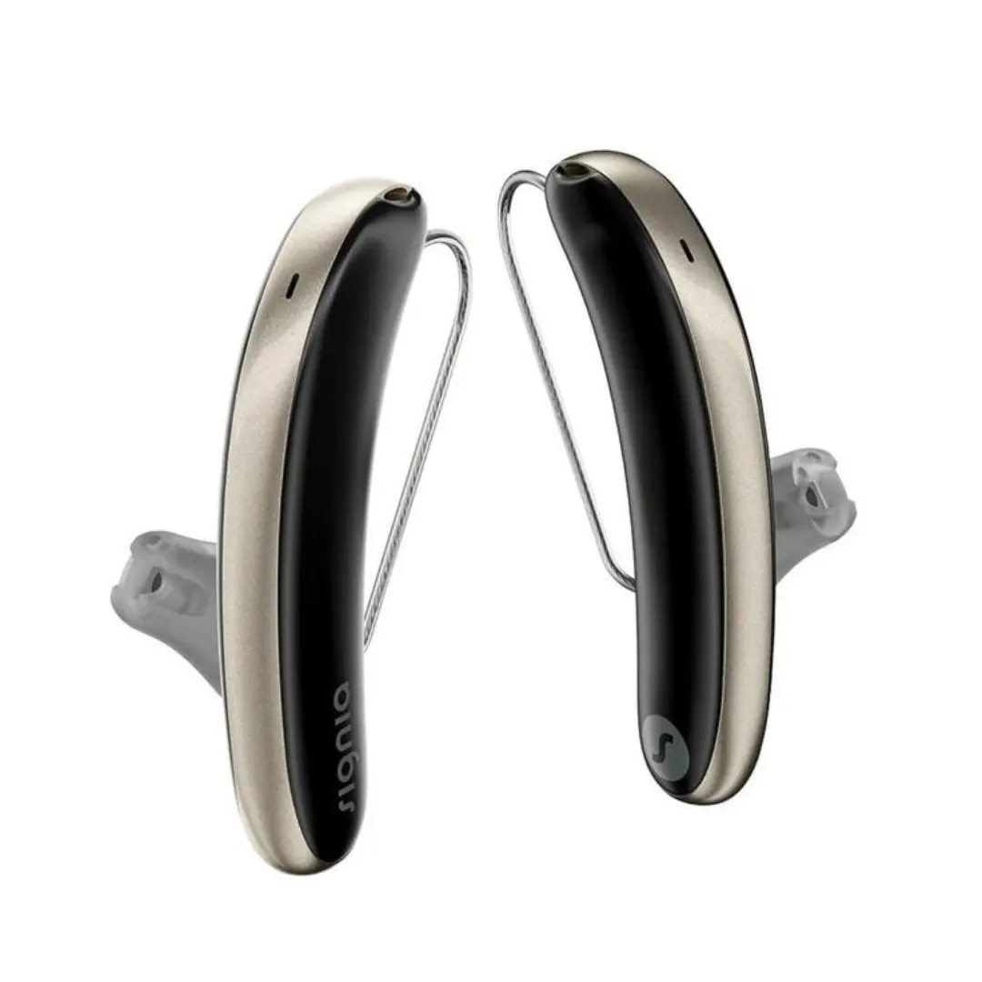 RIC Hearing Aid (1)